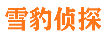 白下市调查公司